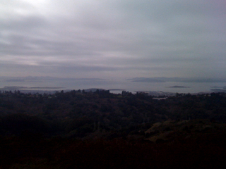 Greetings from Peace Grove, Tilden Park