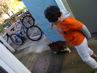 Throwing out the cats: a morning ritual