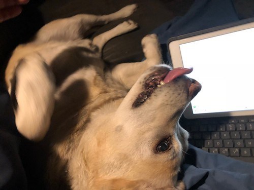 Not a productivity enhancement.
