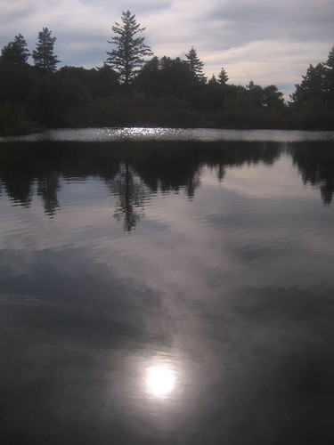 Alpine Lake, Skyline Ridge Open Space Preserve
