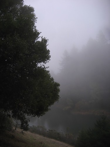 Horseshoe Lake, Skyline Ridge Open Space Preserve