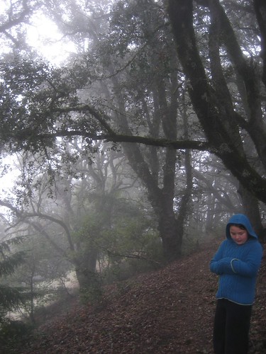 Horseshoe Lake, Skyline Ridge Open Space Preserve