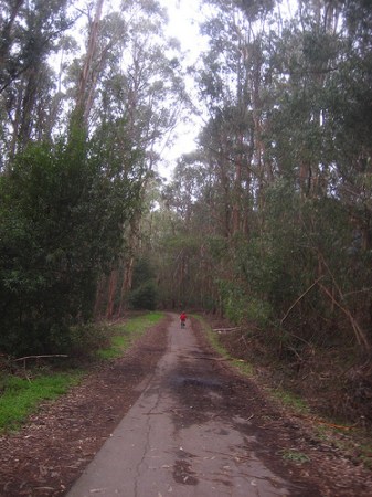 Nimitz Way, Tilden Park