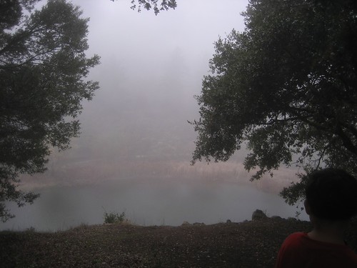 Horseshoe Lake, Skyline Ridge Open Space Preserve