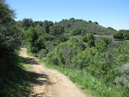 Toyon Trail