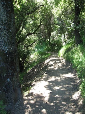 Seven Spring Trail