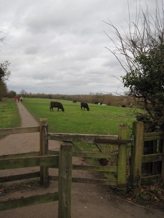 From Cambridge to Grantchester