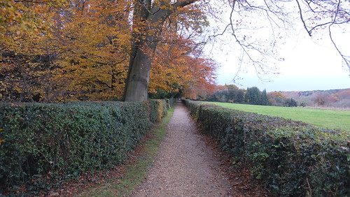 DSCF0948 DSCF0948