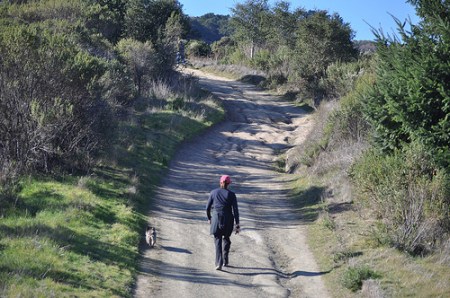 Windy Hill Open Space Preserve Windy Hill Open Space Preserve