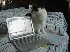 Watching the computer